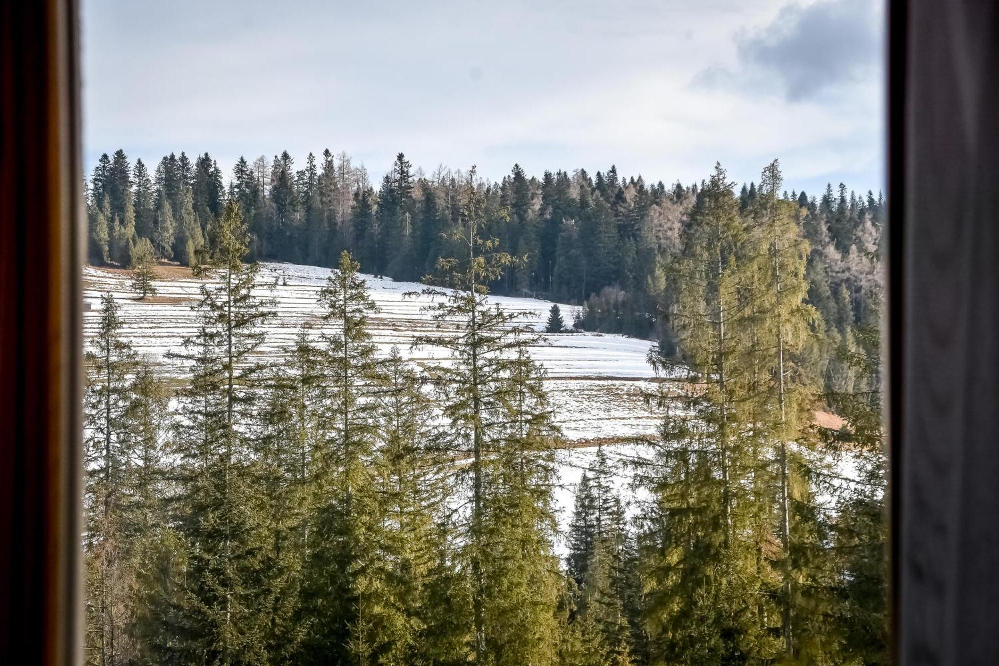 U Justynki Bed & Breakfast Ciche Małe Eksteriør bilde
